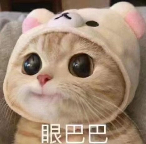 关于intéressement和理财的问题💰