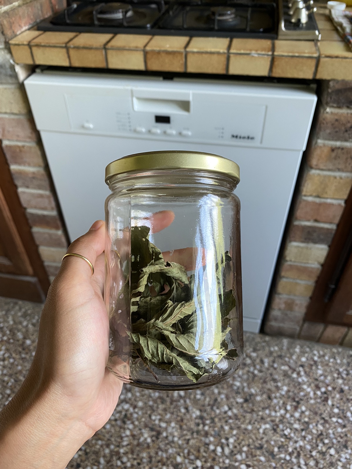 有木有人和我一样茶咖啡都喝不了的