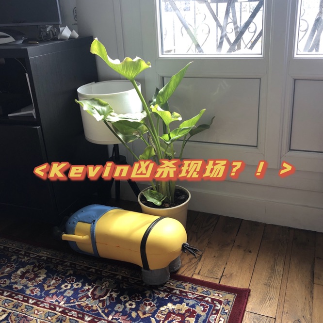 凶手竟然是Ta？！