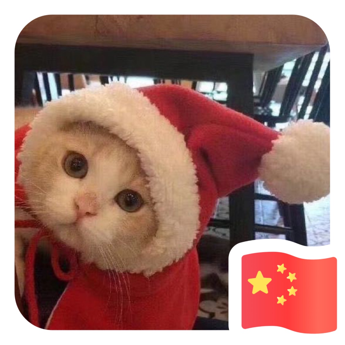 乒乓爱好者