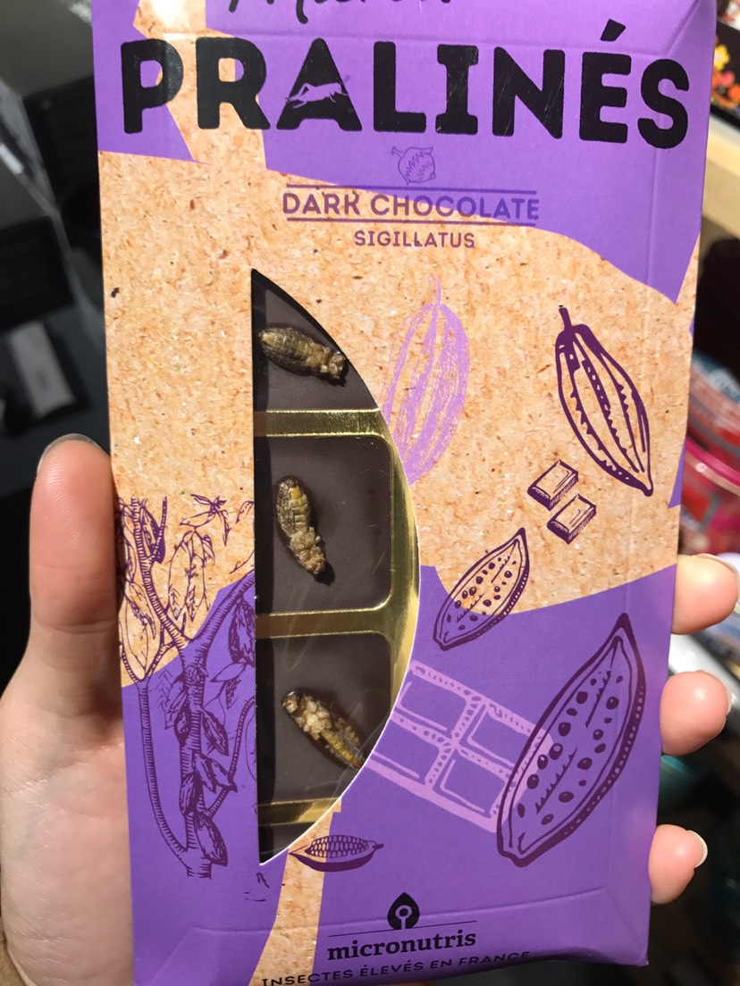有机昆虫巧克力