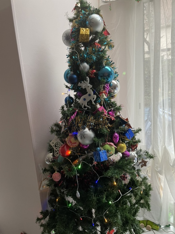 疫情下的圣诞🎄 谁送我的“惊喜”🤣