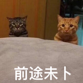 Lettre recommandé一周多没收到回执