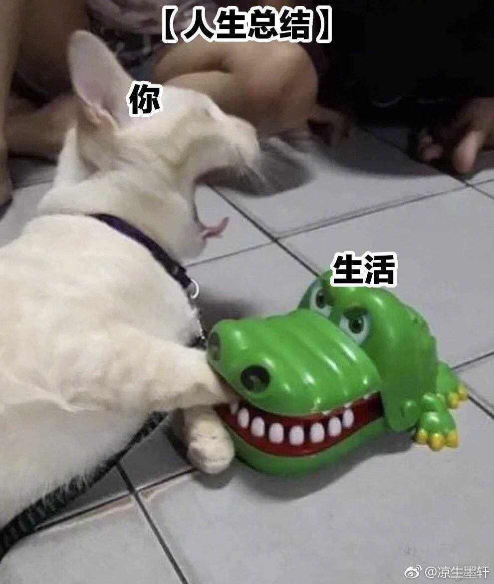 放假‍‍有‍推荐‍的‍地方‍度假‍么‍？