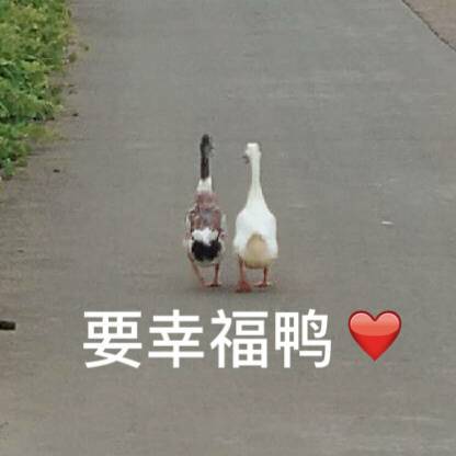 请问大家红酒怎么打包托运？