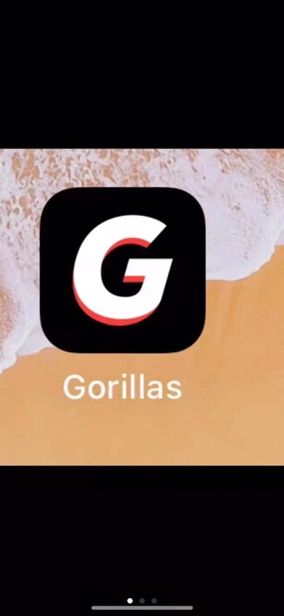 太划算了 大家快冲啊 gorillas 买25欧-20 欧
