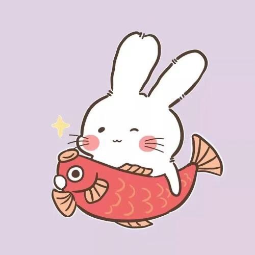 送一张前程似锦兔