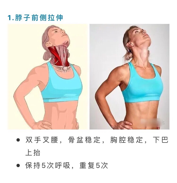 健身打卡：Day 7