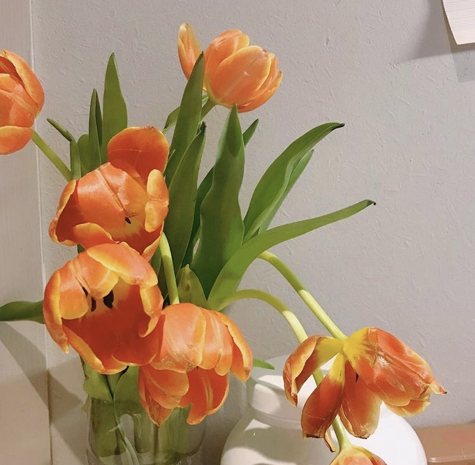 https://treasureimage.ecentime.com/file0_tGdNWAzRbHUc.jpg