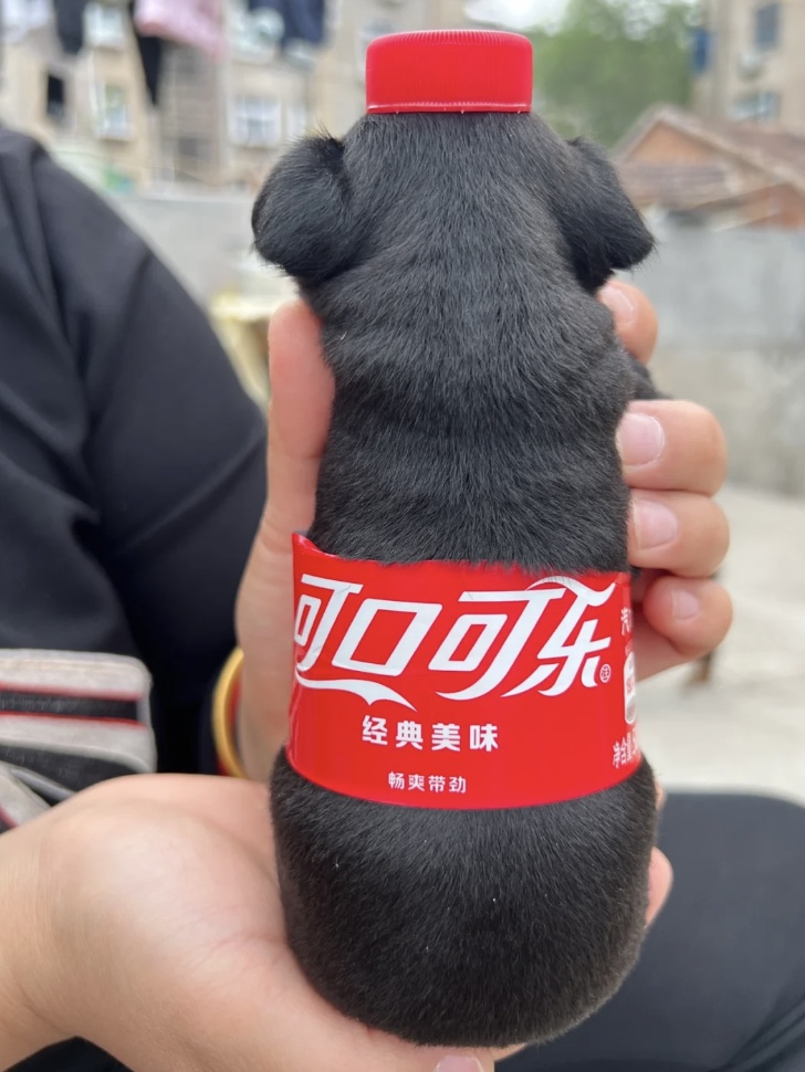 好想拥有,一个无限好rua的可口可乐!!