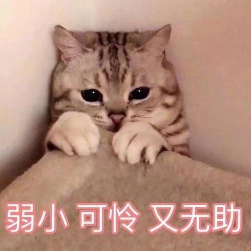 姐妹们都是怎样缓解痛经的😭