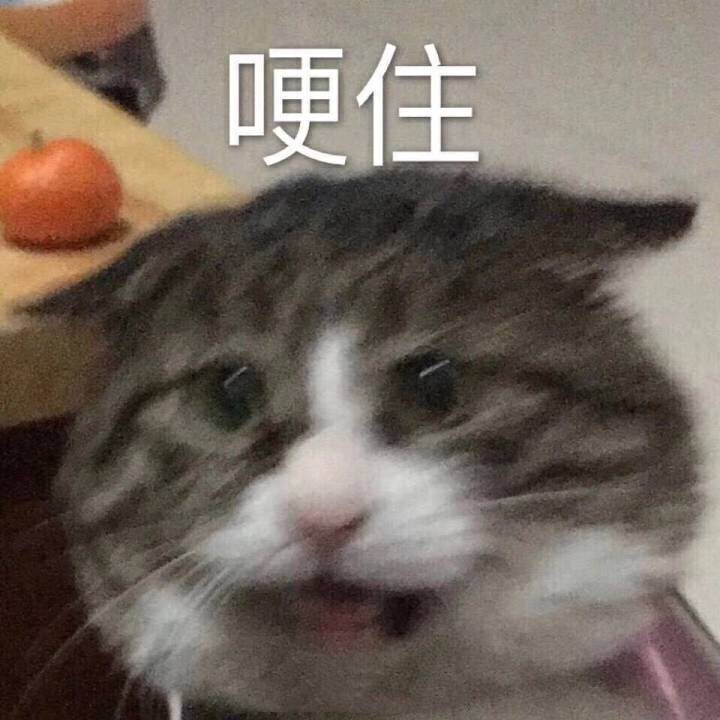 求问mac和bobbibrown的折扣