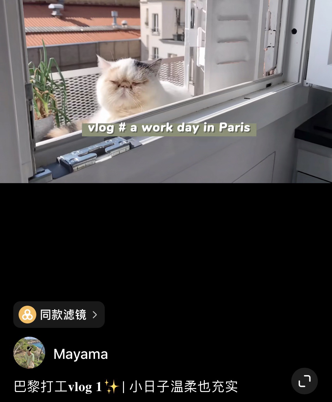 好不容易开始拍vlog，又封城了