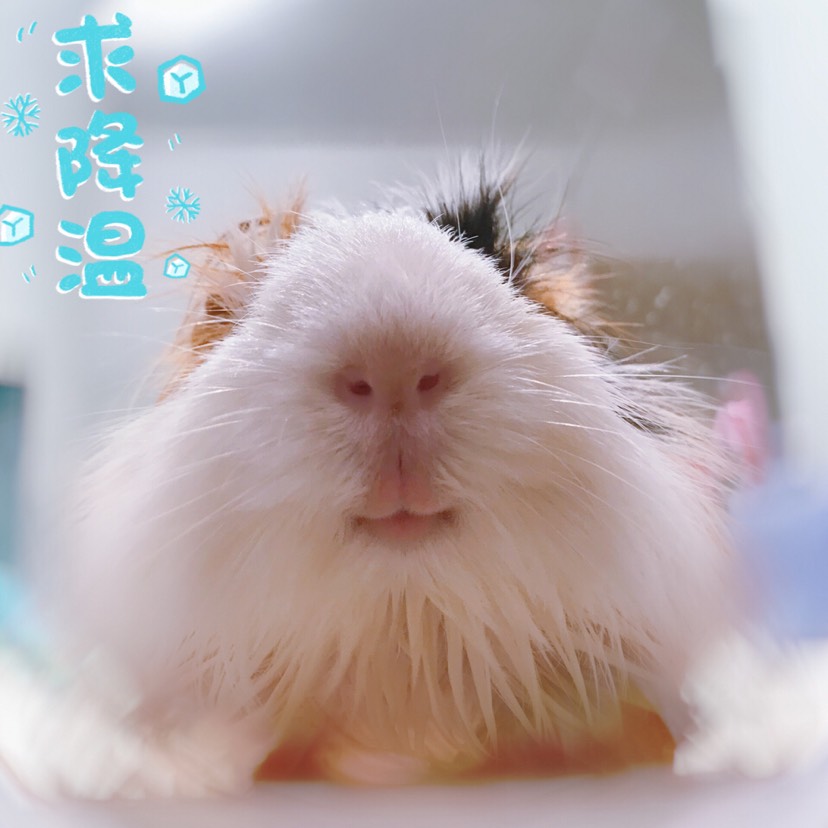 太热了!泡水里!