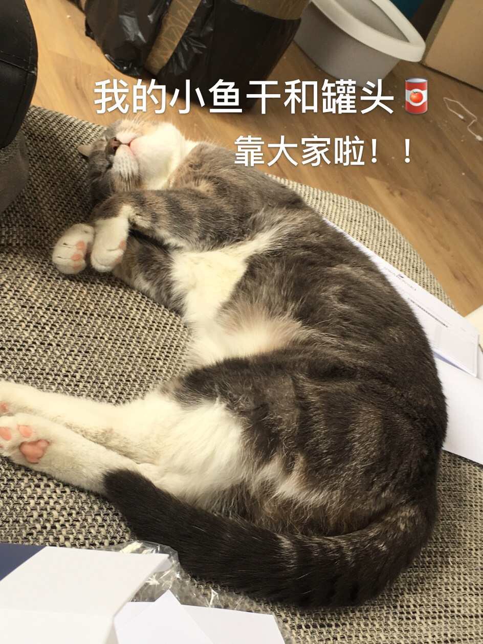 丝芙兰快递寄丢了