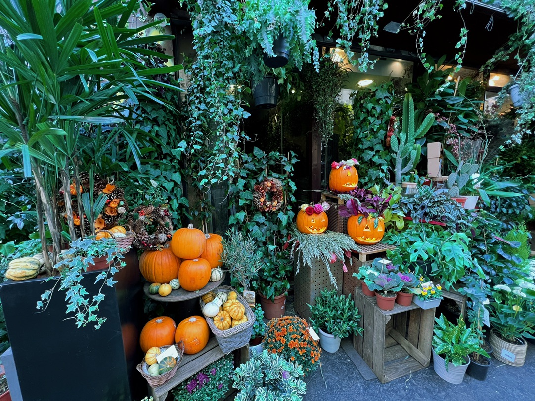 🎃万圣节的样子