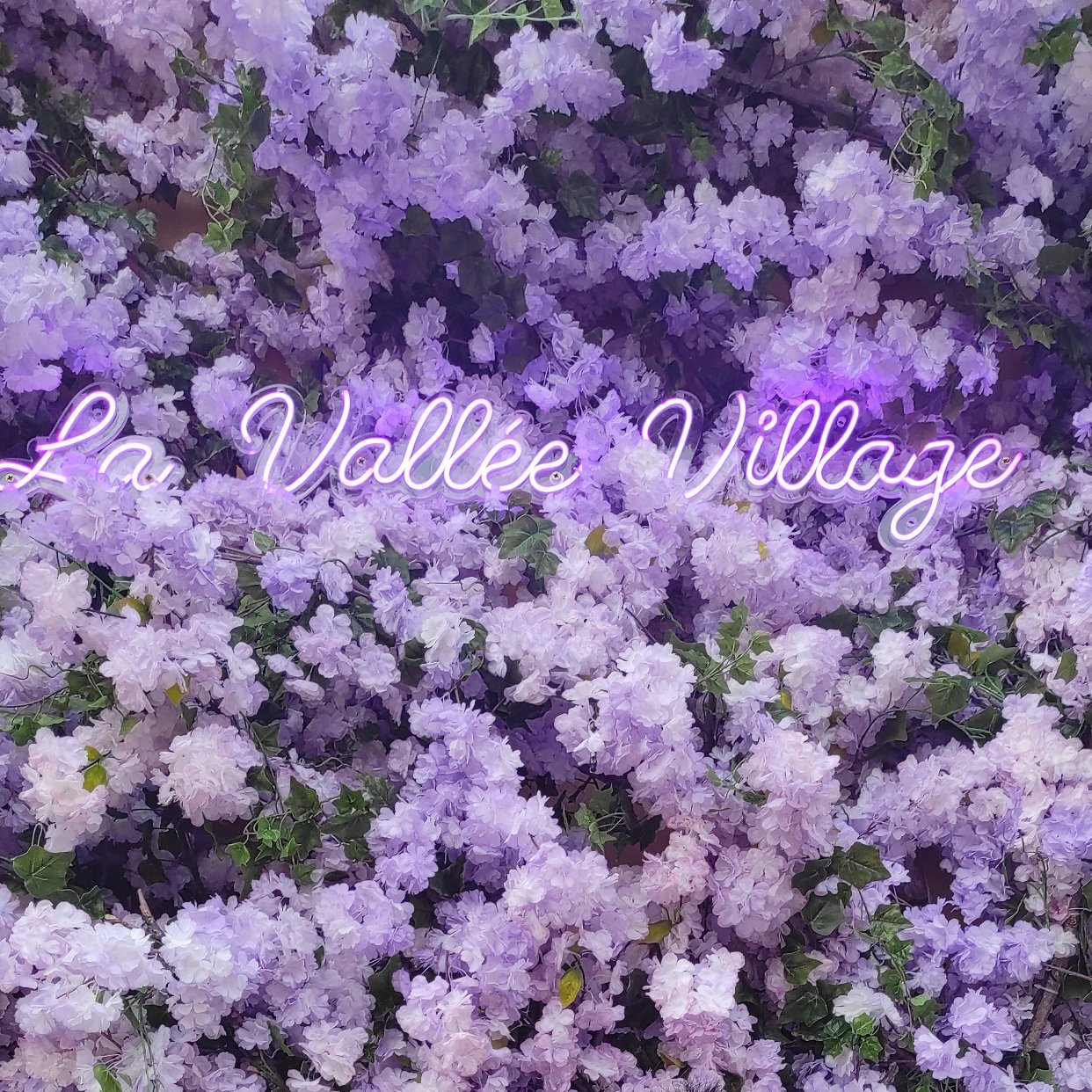 春暖花开宜购物添衣