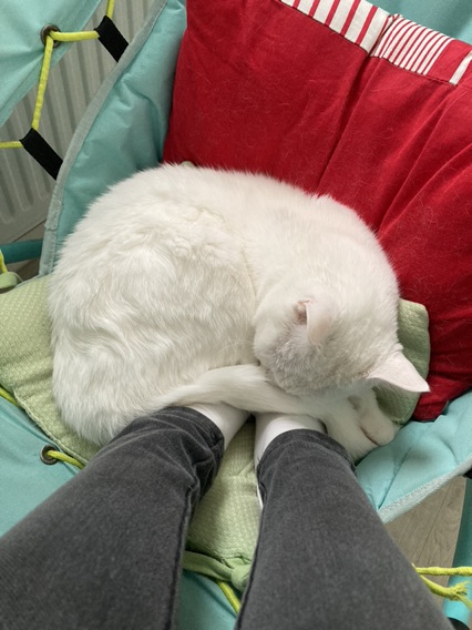 晒个暖脚神器吧