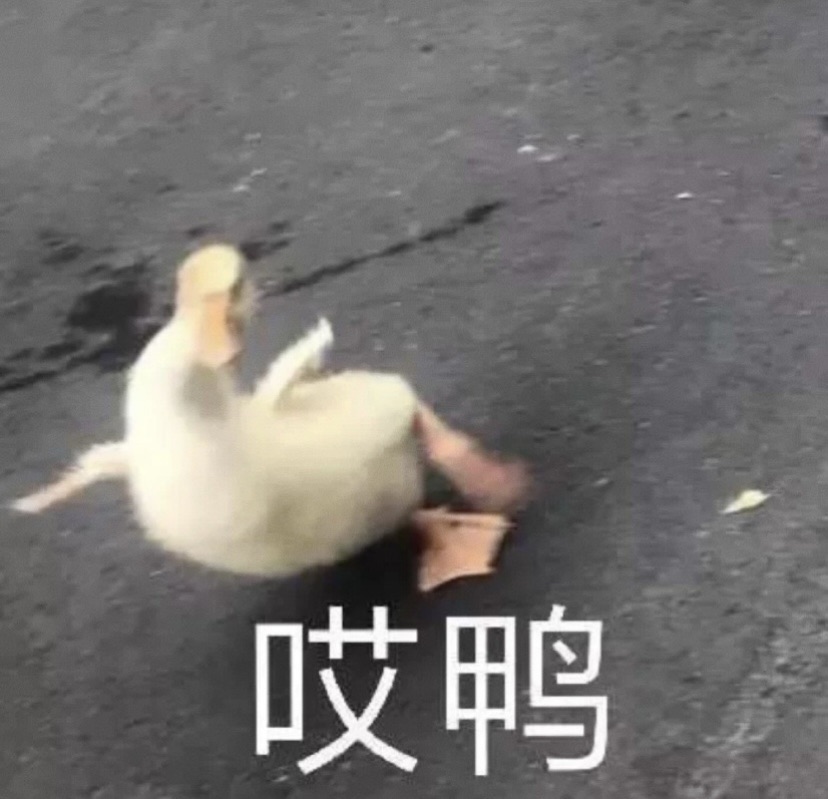Luisaviaroma有拼单的小伙伴吗
