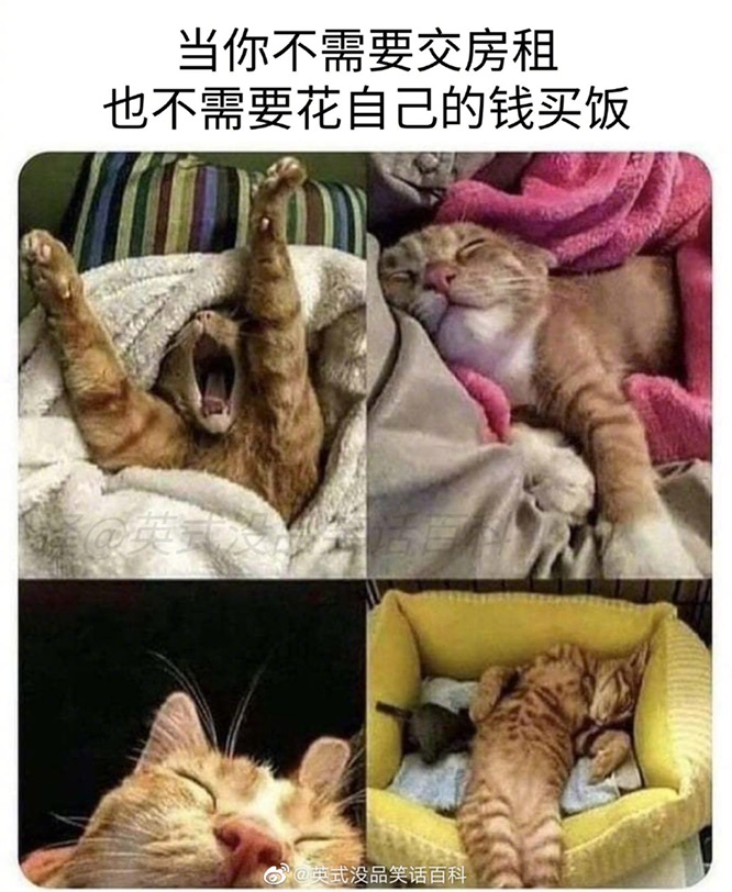 请问小伙伴有没有推荐的靠谱巴黎月嫂