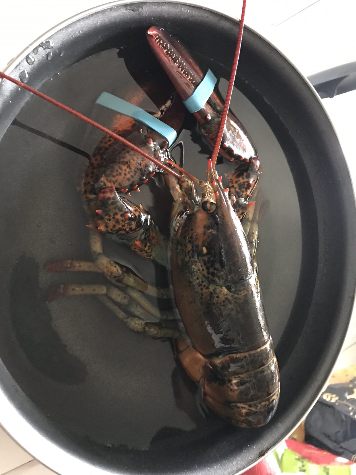 帮捎东西回国10欧/kg