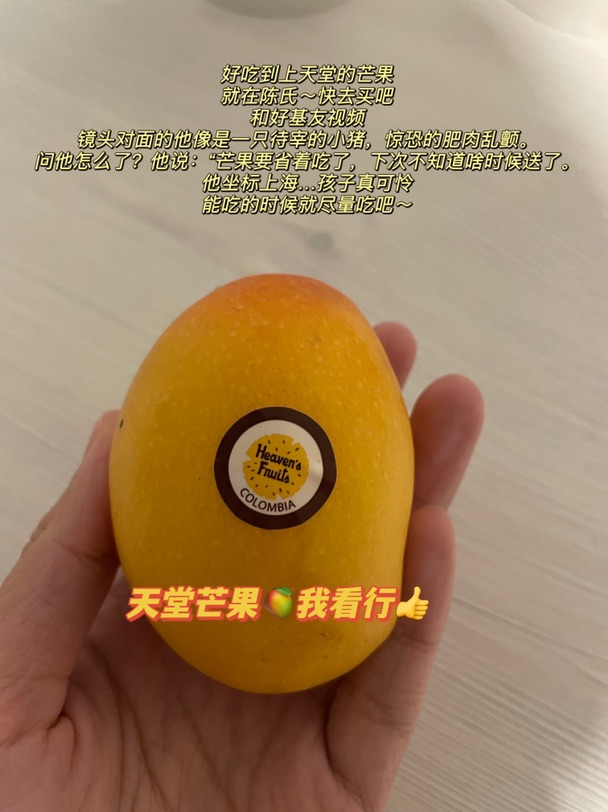 一点点记录，一点点回忆，一点点快乐，一点点期待