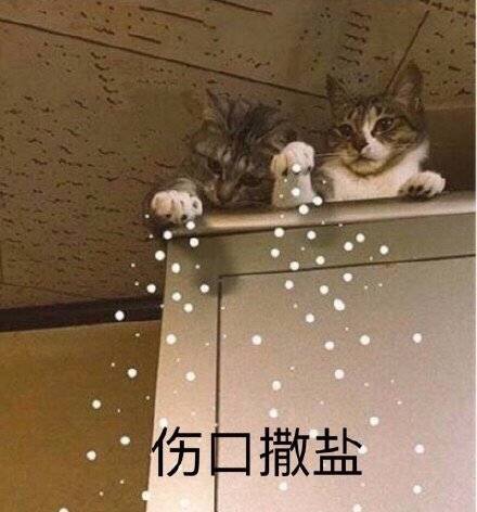 求 好用的去屑洗发水…