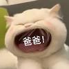 从香港回国这事儿靠谱吗？