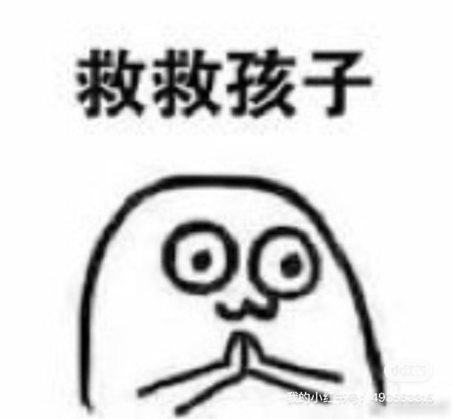 法国第一年回国
