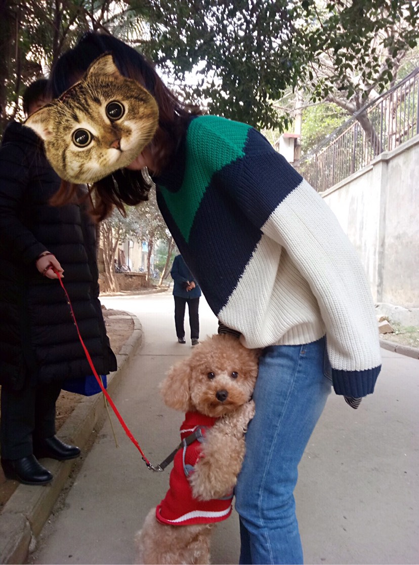 狗年旺旺旺！狗子们都成精啦啦～