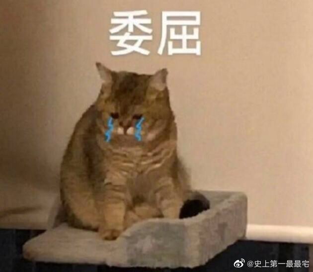 sg银行怎么转账回国