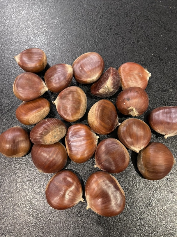 糖烤板栗🌰大失败🥲