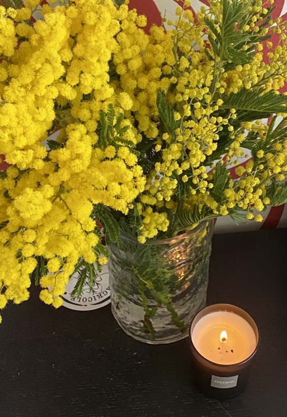 黄色花花