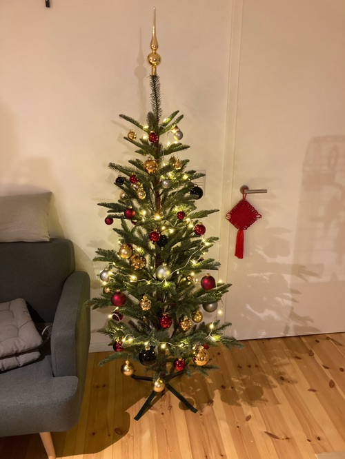 第一颗圣诞树🎄