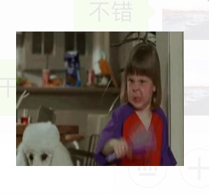 在巴黎的最后一天钱包丢了