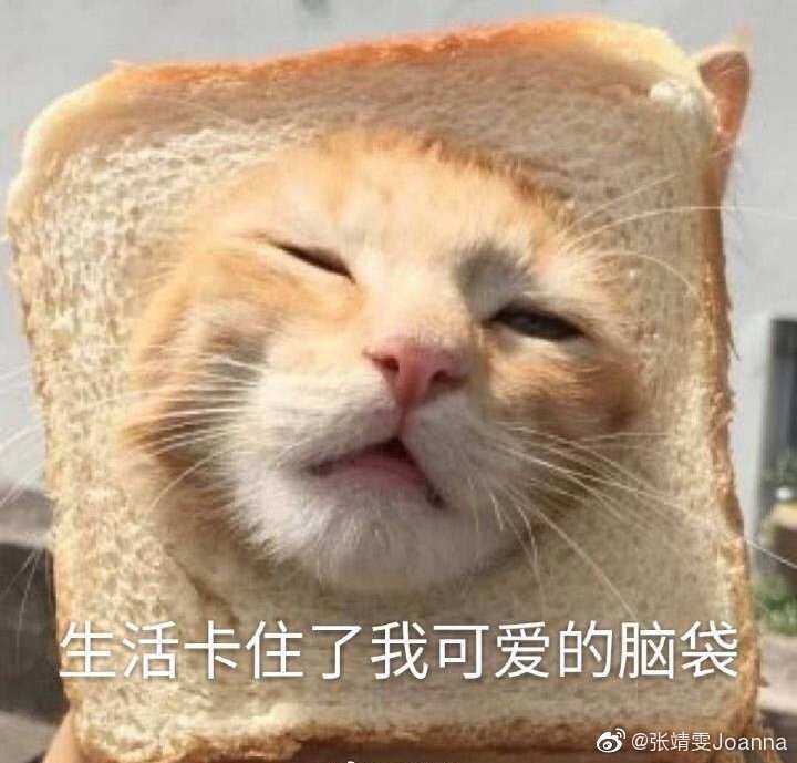 有人在vestiaire collective卖过东西嘛~