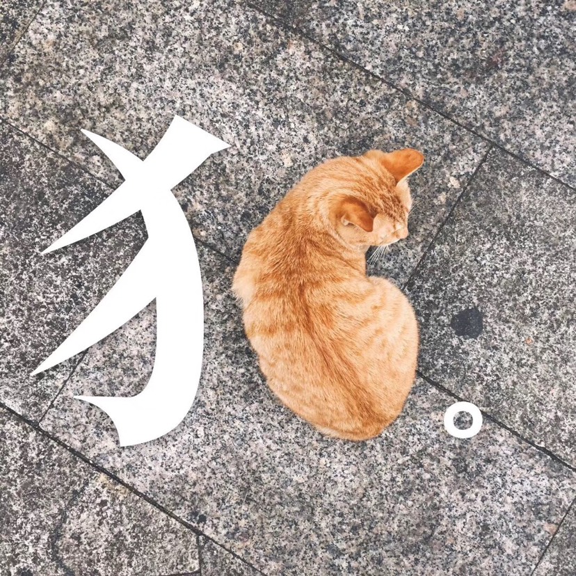 想问各位大佬法国哪里有卖粉刺针的刮环(ノ ̄▽ ̄)