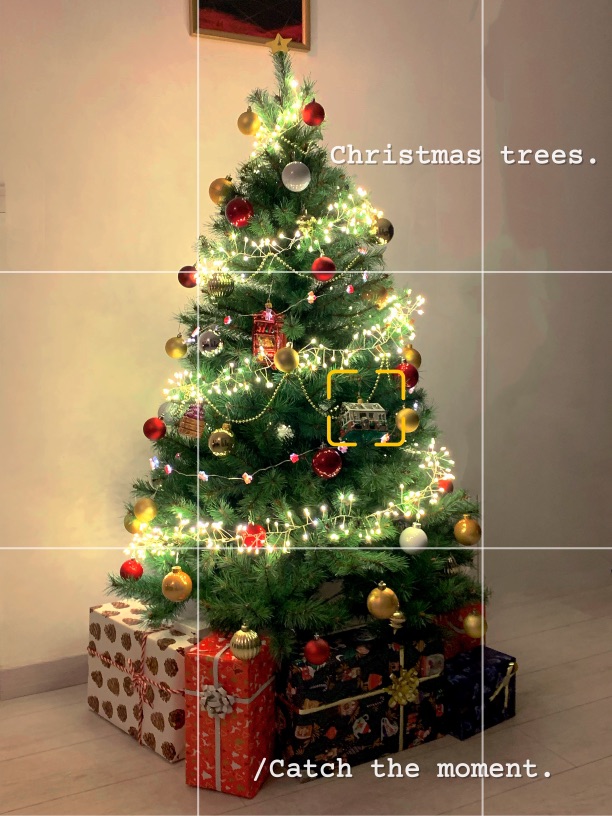 🎄圣诞快乐🎄