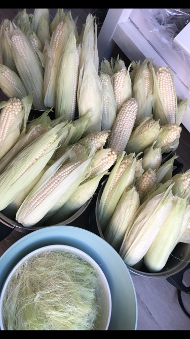 🌽季节到了