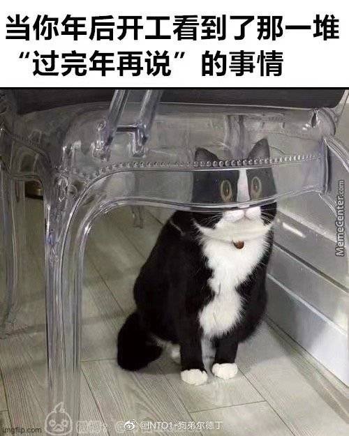 忙忙叨叨