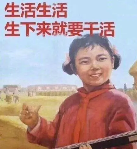 受闺蜜之托,女,26岁,未婚