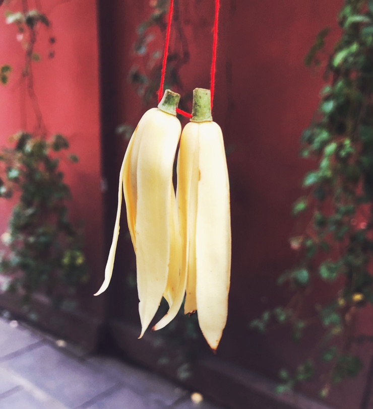 求助：有推荐的靠谱的心理咨询师吗？