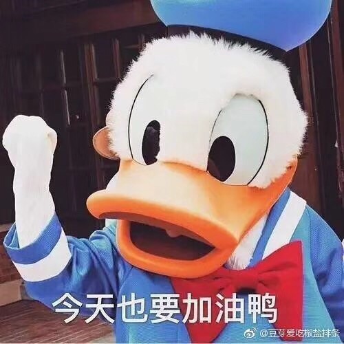 奋斗的一年，收获的一年