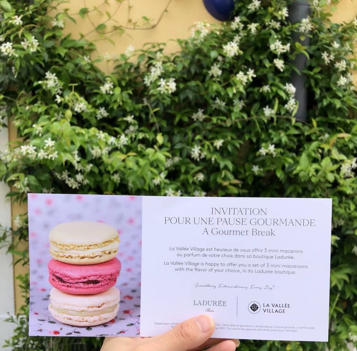 好久没来打折村了 