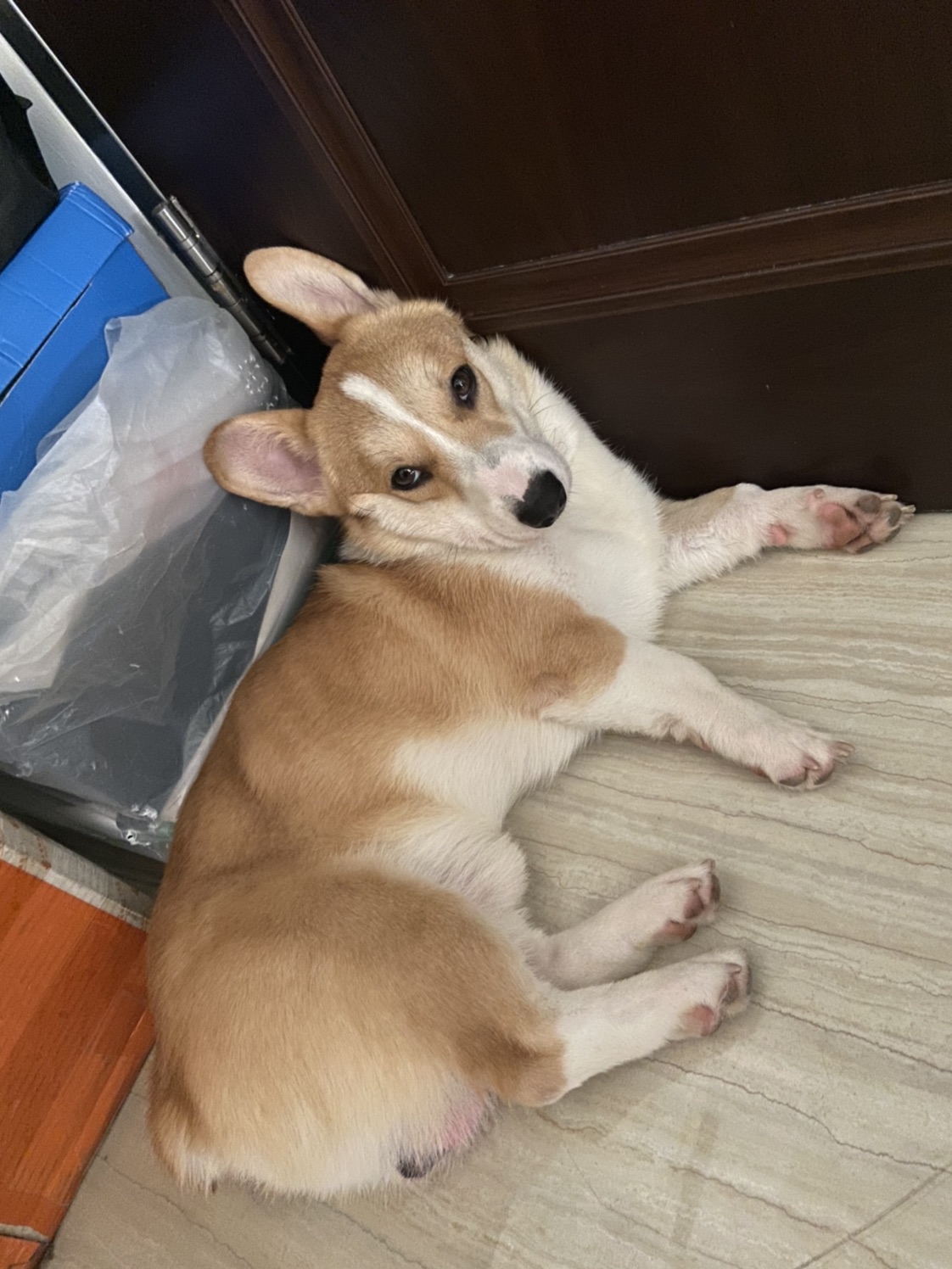 求推荐靠谱的香港清关