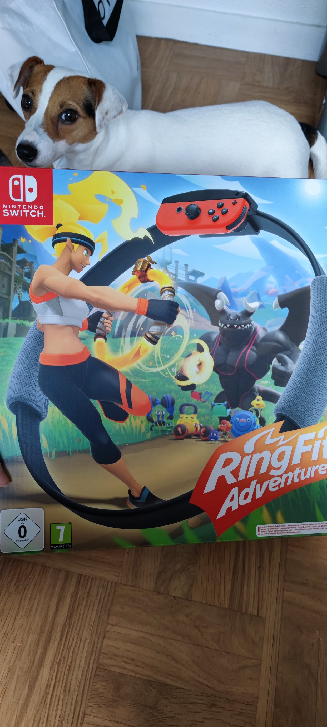 Nintendo switch健身环