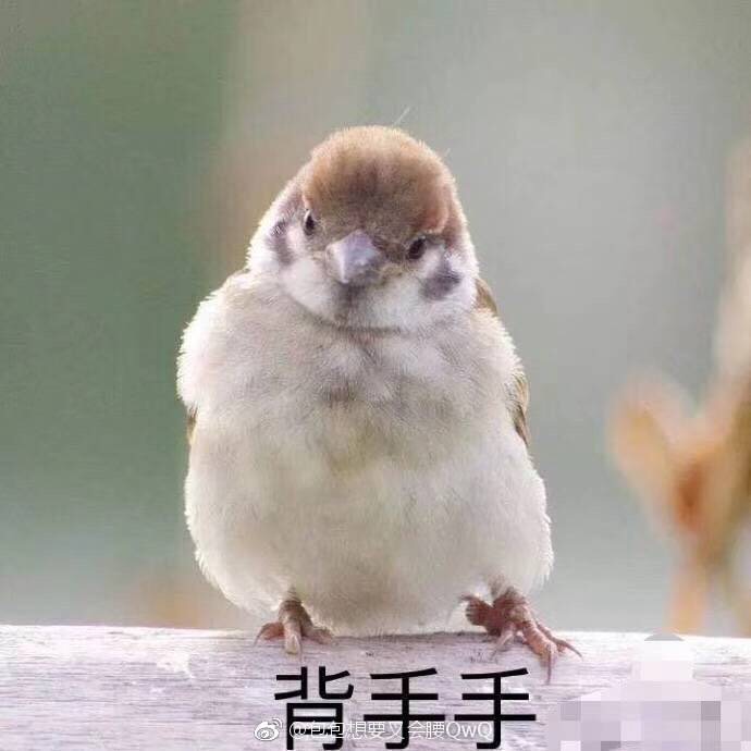 【图文不符】kiko官网邮寄现在会收到破损的口红吗？！