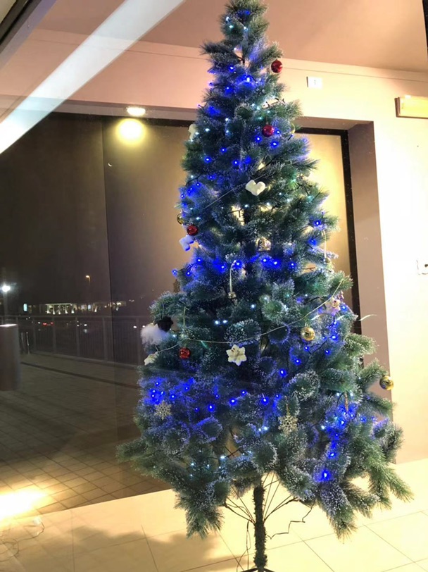 秃秃的🎄