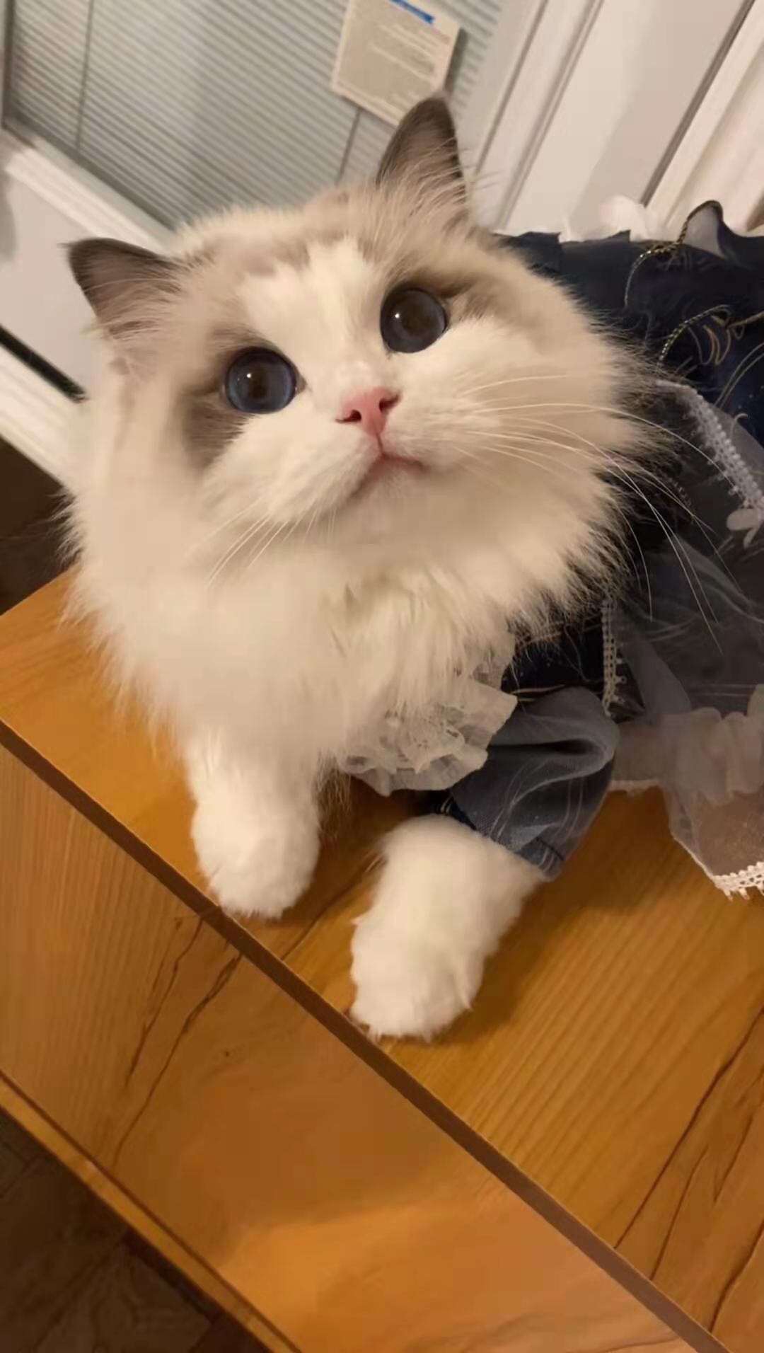 求问租房暖气