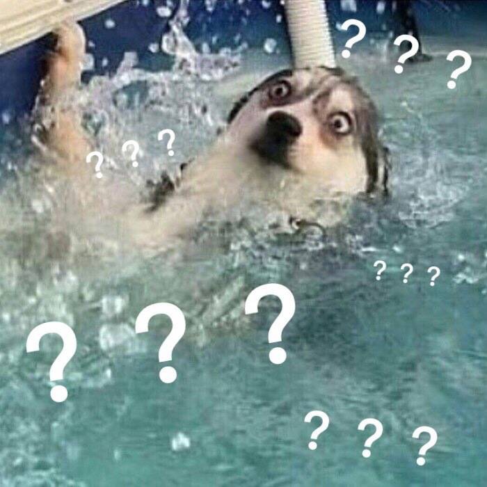 科颜氏扣款没生成订单?!